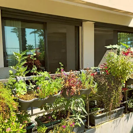 Elegant & Cozy Retreat Home, Center Gem By The Seaside, Steps From The Tram *