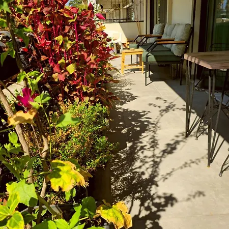 Elegant & Cozy Retreat Home, Center Gem By The Seaside, Steps From The Tram