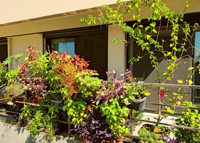 Appartamento Elegant & Cozy Retreat Home, Center Gem By The Seaside, Steps From The Tram *